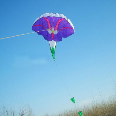【Cw】free shipping morning glory soft kite flying toy cerf volant kites for kids kite surf flye Weifang kite wholesale news ！
