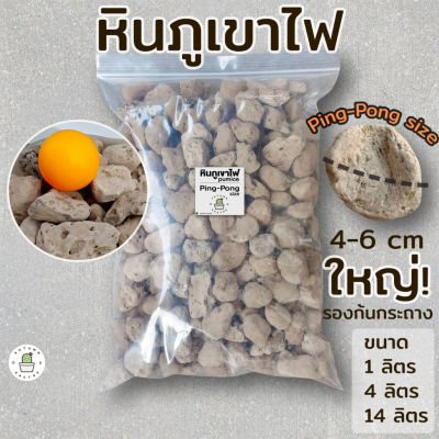 🗻 หินภูเขาไฟ Pumice Stone size ขนาดใหญ่ BIG SIZE ขนาดลูกปิงปอง🗻 รองก้นกระถางขนาดใหญ่