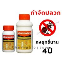 Aswin อัศวินกำจัดปลวก[ขนาด250-500cc.]