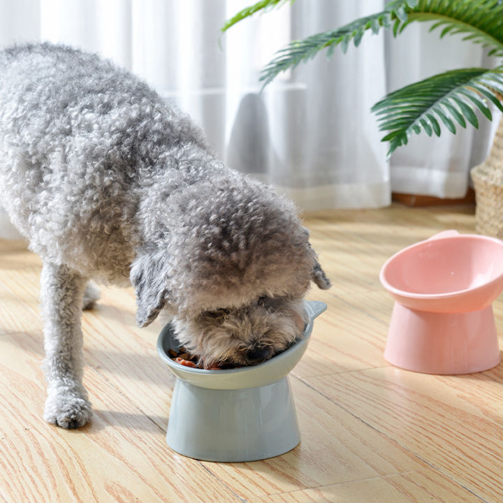 ชามสำหรับแมวชามอาหารสุนัขทรงสูง-ที่ป้องกันคอ45-ชามใส่น้ำอาหารสัตว์เลี้ยงแมว