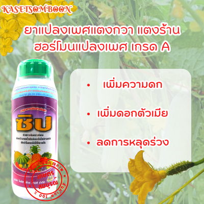 ยาแปลงเพศ แตงกวา​ แตงร้าน​ ฟักทอง​ มะระ ซิป 100 / 500 มล. ตรา ปทุมทอง