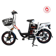 HCMXe đạp điện Draca E9 - Nam Long Draca