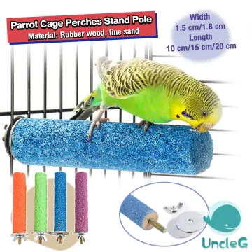 Bird accessories outlet online