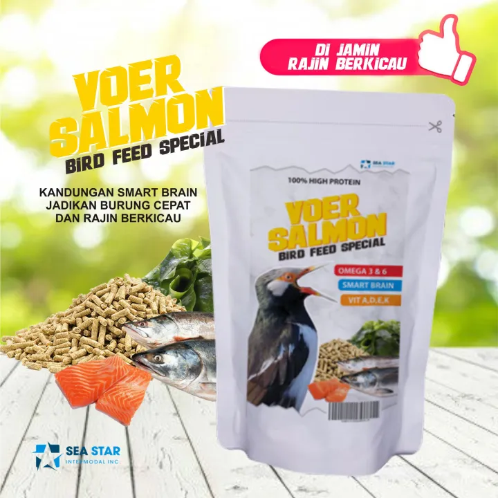 makanan burung voer salmon jalak suren cocak dll bikin cepat gacor dengan smart brain omega 3 kemasaan 250g | Lazada Indonesia