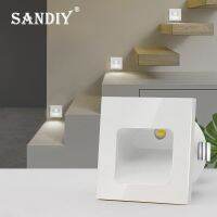 ◆☃✓ SANDIY Wall Lamps Recessed Night Light Mini Sconce 1W Aluminum Luminary for Steps amp;Stair Ladder Living Room Decor White 110V/220V