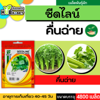 ซีดไลน์ ?? คื่นฉ่าย SL ขนาดบรรจุประมาณ 4800 เมล็ด อายุเก็บเกี่ยว 40-45 วัน