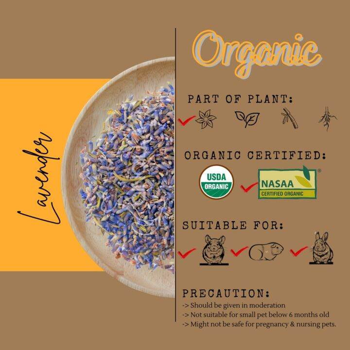 Organic Dried Lavender 有机薰衣草 snack for chinchillas, guinea pigs