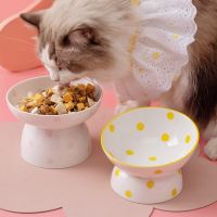 Cat Ceramic Bowl Elevated Small Puppy Dogs Food Water Feeders Pet Drinking Eating Feeding Supplies Easy Clean Spine Protection