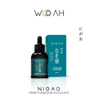 Nigao Deww Turquoise Succulent นิกาโอะ ดิวว์ หยดเปลี่ยนสีผม เทอร์ควอยซ์ ซัคคิวเลนท์ 30 ml.