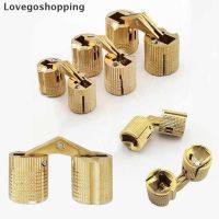 Lovegoshopping 4pcs 1012mm ss Hidden Barrel Hinge Invisible Hinge Concealed Worktop ID