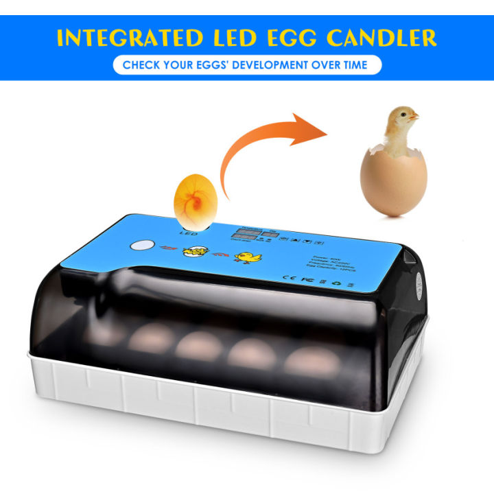เครื่องฟักไข่อัตโนมัติดิจิตอลตู้อบไข่สามารถ-incubate-4-35ไข่-อุณหภูมิควบคุม-incubation-วันจอแสดงผล-เครื่องต้มไข่-ไข่อัตโนมัติเครื่องต้มไข่ใช้-hatch-ทุกชนิดของไข่ไก่-เป็ด-ห่าน-quail