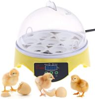 Mini Egg Incubator Automatic Digital 7 Eggs Poultry Hatcher Tool for Duck Bird Chicken Egg (Yellow)