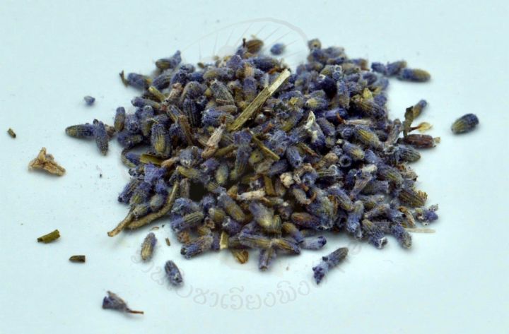ชาดอกลาเวนเดอร์-ขนาด-15-ซองชา-lavender-flowertea-สรรพคุณ-ทำให้หลับสบาย-รู้สึกผ่อนคลาย-คลายความตึงเครียด-หรือเพียงแค่สูดดมก็สามารถช่วยลดอาการเจ็บคอและหลอดลมได้