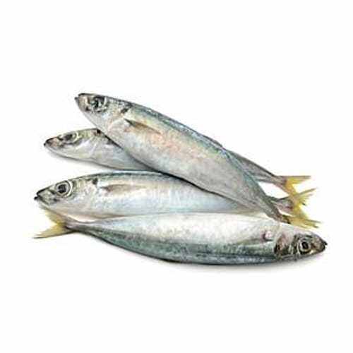 Fresh Catch Galunggong "Blue Mackerel Scad" Cleaned (400500g) Lazada PH
