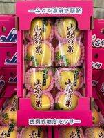 แอปเปิ้ลทองญี่ปุ่น Japanese Golden Apple พรีเมียมกล่อง8ลูก