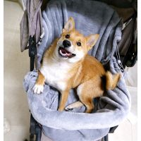 [COD] litter pad cat dog warm Stroller stroller windshield Coral fleece