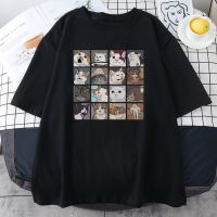 [Lanbo clothing] Meme Cat เสื้อฮู้ดลายปริศนาพิมพ์ลายฮาราจูกุผู้ชาย39; S เสื้อยืดสตรีทเกาหลีแขนสั้นเสื้อแนวพังค์ผ้าฝ้ายฤดูLanbo clothing