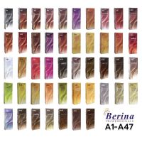 Berina Hair Color สีย้อมผมเบอริน่า