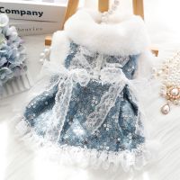 Pet Princess Dress Autumn Winter Warm Skirt Small Dog Fashion Wool Coat Cat Sweet Lace Sweater Puppy Jacket Chihuahua Poodle Dresses