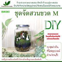 ชุดสวนขวดแก้ว DIY ไซต์ M เซ็ท A ราคา 279 บาท มีของพร้อมส่ง