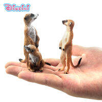 จำลองน่ารักขนาดเล็ก meerkat สัตว์รุ่นพลาสติกรูปการกระทำ DIY หุ่นอุปกรณ์ตกแต่งของขวัญที่ทันสมัยสำหรับเด็กของเล่น