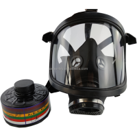 ANBEN 6800 Multi-Function Maintenance Dust Gas Protection Comprehensive Cover Labor gas
