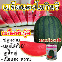 ?สินค้าขายดี?  เมล็ดพันธุ์คัดสรร เมล็ดแตงโมกินรี ขนาด 1200++ เมล็ด (1 กระป๋อง) เนื้อแน่น แดงเข้ม หวานกรอบ