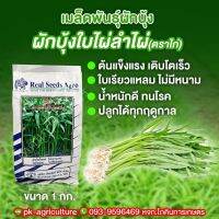 เมล็ดพันธุ์ผักบุ้งใบไผ่ลำไผ่ ตราไก่ ขนาด 1 กก.