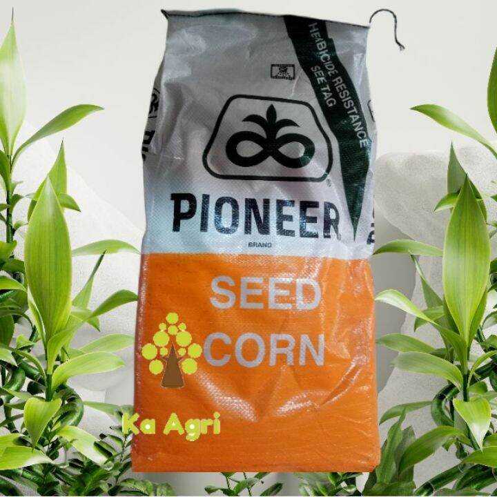 Pioneer seeds P3585YHR repack 1kg. Lazada PH