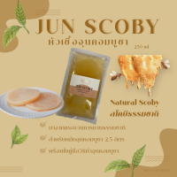 Jun Kombucha Scoby &amp; Starter Liquid 250ml ◉ แผ่นสโคบีและน้ำตั้งต้นหมักจุนคอมบูชา