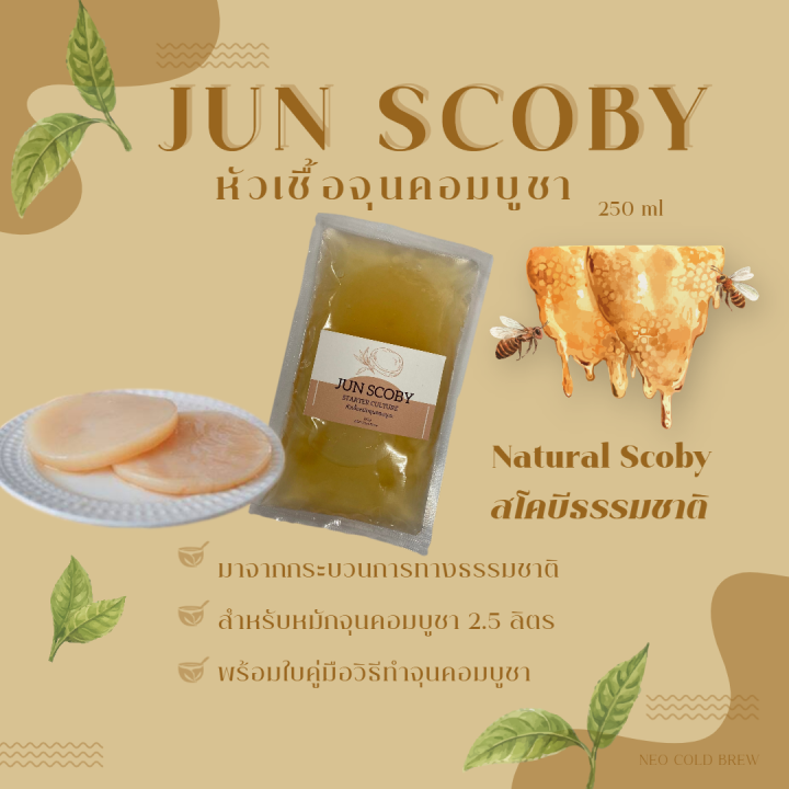 Jun Kombucha Scoby & Starter Liquid 250ml แผ่นสโคบีและน้ำตั้งต้นหมักจุ