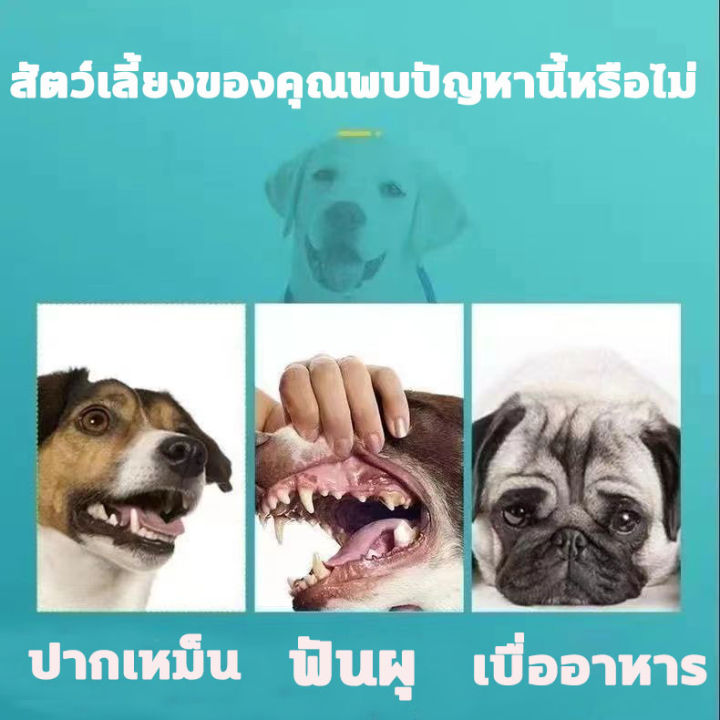 แนะนำจากหมอสัตว์เสี้ยง-liuyuan-น้ำยาดับกลิ่นปากแมว-100ml-น้ำยาดับกลิ่นปากสุนัข-ป้องกันโรคในช่องปากของสัตว์เลี้ยง-ขจัดฟันคราบพลัคแคลคูลัสทันตกรรมใช้ได้ทั้งแมวและสุนัข-ดับกลิ่นปากแมว-ดับกลิ่นปากหมา-สเปร