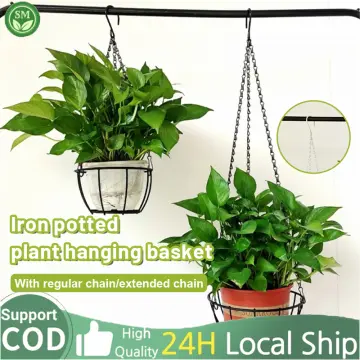 Shop Orchid Hanging Wire online