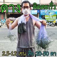 ตาข่ายดักปลา มีตะกั่วล่าง ดางซู ขนาด 2.5-12 เซน ลึก 20 25 30 40 50 ตา ดางซูข่าว ตราเรือใบ และ ตรานกอินทรี เนื้ออวน มอง ดาง ซูข่าว