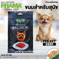 ขนมสำหรับสุนัข สติ๊กนิ่ม PRAMA Delicacy Snack (รสปลาแซลมอน) ทำจากเนื้อไก่สด สำหรับสุนัขทุกสายพันธุ์ ขนาด 70 g. โดย Yes Pet Shop