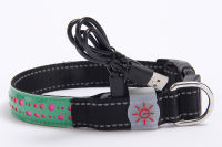 LED Rechargeable Luminous Pet Dog Collar Carved Leather Luminous Dog Collar Safe &amp; Durable &amp; Individual 4 Patterns 250 mAh