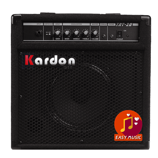 แอมป์เบส-kardon-tnt20-bass-amps