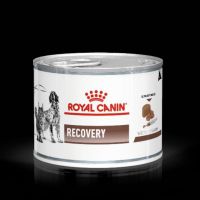 นาทีทอง ส่งฟรี Royal canin Recovery อาหารสัตว์ป่วย พักฟื้น สุนัข/แมว กระป๋อง 195 กรัม