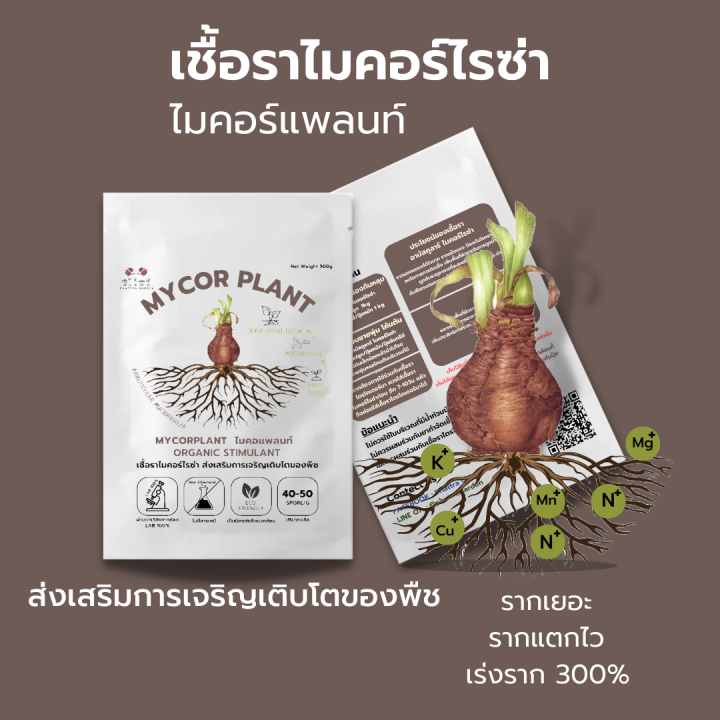 My Image 14