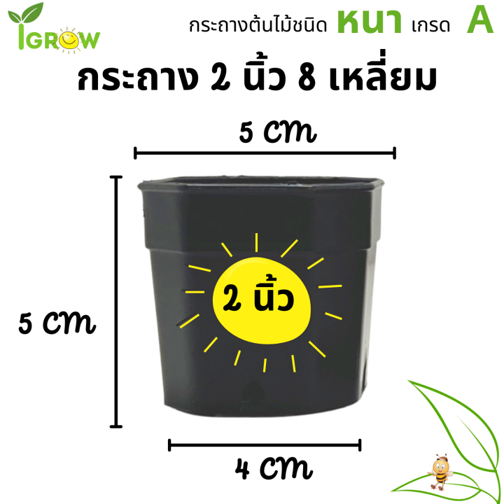 กระถาง-8-เหลี่ยม-ขนาด-2-นิ้ว-สีดำ-มินิมอล-สำหรับใส่แคนตัส-ต้นไม้จิ๋ว-มินิมอล-สวย-แท้-แน่นอน