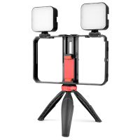 PC203 Dual Handle Handheld Video Cage Stabilizer Kit Support Recording with Tripod Phone Adjustable Stabilizer