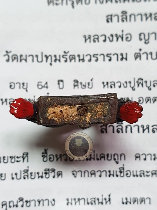 amulet-charm-รับประกันแท้-สาริกาหลงรัง-หลวงพ่อญาครูดุง-2561