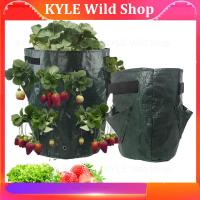 KYLE Wild Shop 5 7 10 Gallon PE Strawberry Planter Grow Bags Potato Pot Gardening Pots Flower Veg Tomato Planting Tools Container