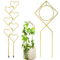 Plant Climbing Frame Iron Trellis Potted Vine Support Rack Heart Shaped Bracket Garden Backyard Balcony Climbing Plants Holder