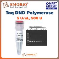 ExcelTaq Taq DNA Polymerase PCR DNA Synthesis Labeling 5U/uL, 500U SMOBIO