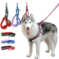 Dog Harness Vest Leash Reflcetive Breathable Mesh Pet Produts Adjustbale Night Walking Leash Dog Collar for Medium Large Dogs Leashes