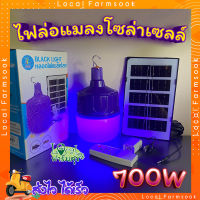 หลอดไฟล่อแมลงโซล่าเซลล์ ? ไฟล่อแมลง หลอดไฟแบล็คไลท์ ไฟLED หลอดไฟ BLACKLIGHT 700W กันน้ำ หลอดไฟตุ้ม พลังงานแสงอาทิตย์ ใช้งานได้ทั้งคืน