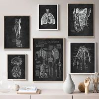 Human Anatomy Art ภาพวาดผ้าใบ Skeleton Organ Muscular System โปสเตอร์พิมพ์ภาพผนัง Medical Clinic Decor Cuadros