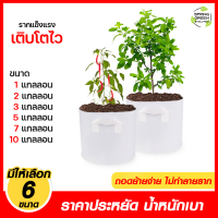 ถุงปลูกต้นไม้แบบผ้า สีขาว รุ่น GBW ราคาถูก มีให้เลือก 6 ขนาด 1-10 แกลลอน รากไม่เน่า ระบายน้ำได้ดี การันตีคุณภาพจาก SGE (ของแท้จากบริษัท100%)