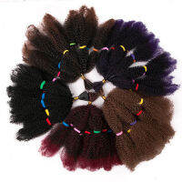 วิกผมชายและหญิงหนอนถักสั้นสกปรกหัวระเบิด Crochet hair The caterpillar